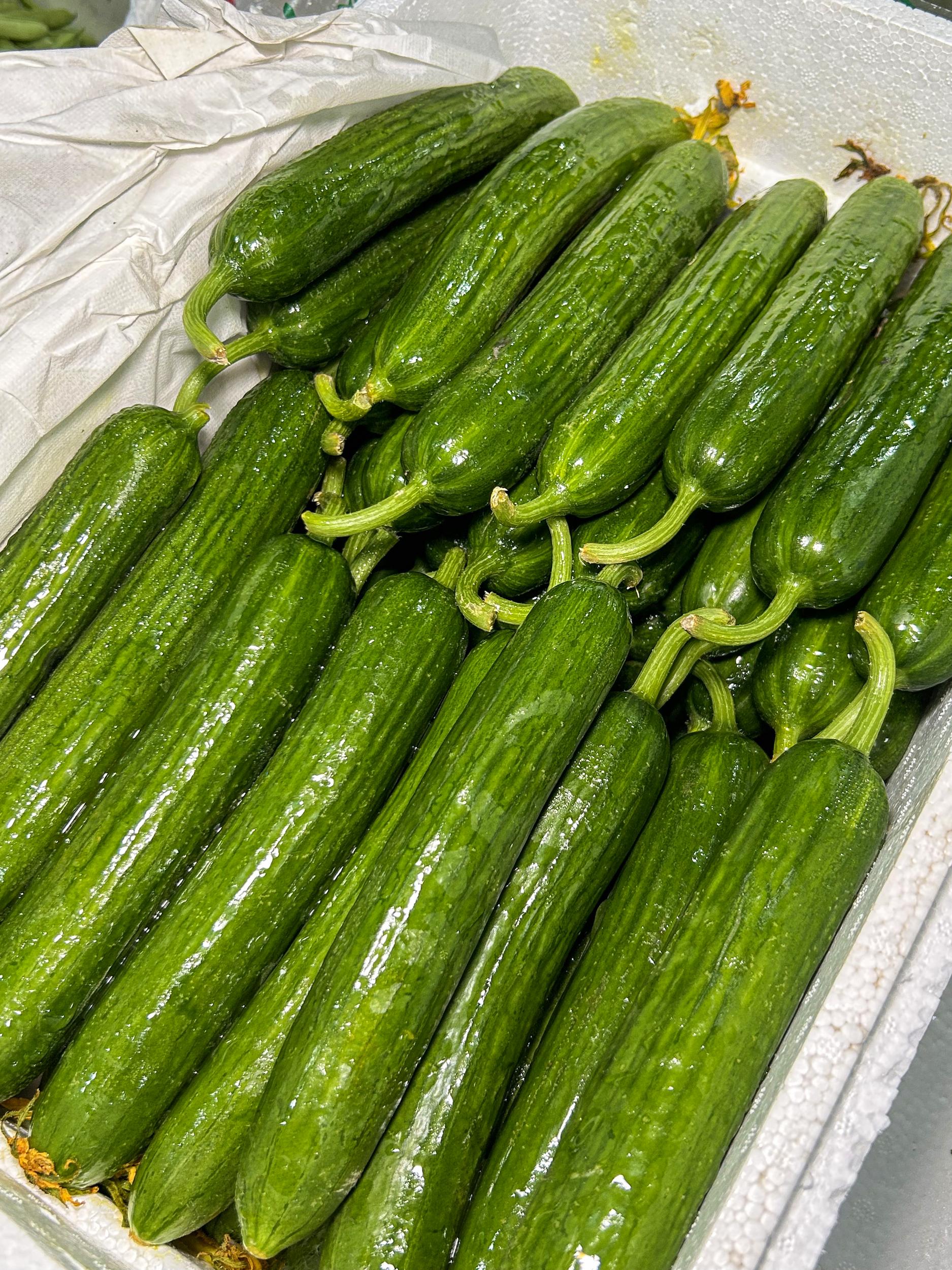 菜多多实拍蔬菜图 (13)